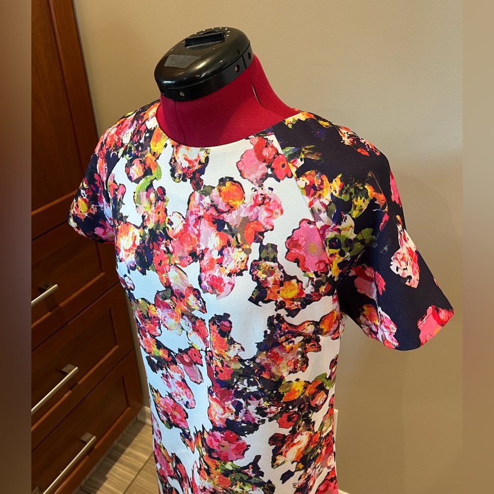 EUC 💐 Anthropologie Watercolor Floral Short Sleeve Shift Dress Sz 6 / M - Picture 5 of 10